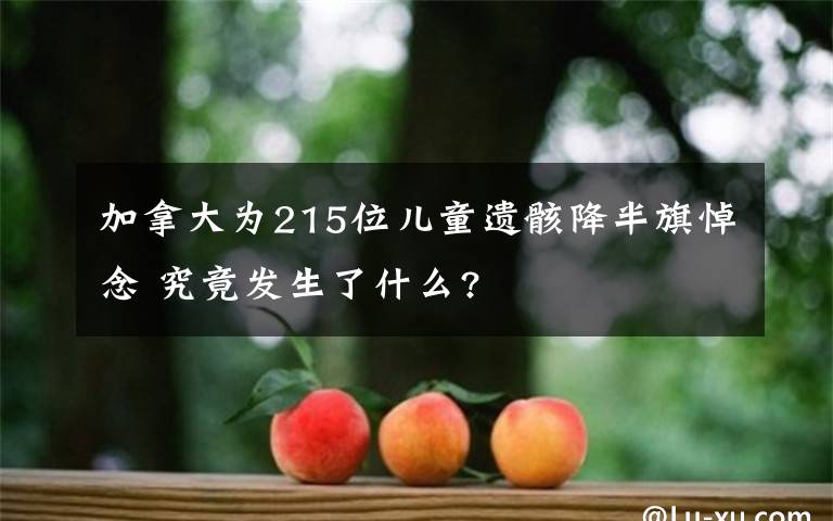 加拿大为215位儿童遗骸降半旗悼念 究竟发生了什么?