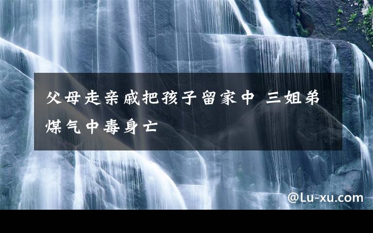 父母走亲戚把孩子留家中 三姐弟煤气中毒身亡