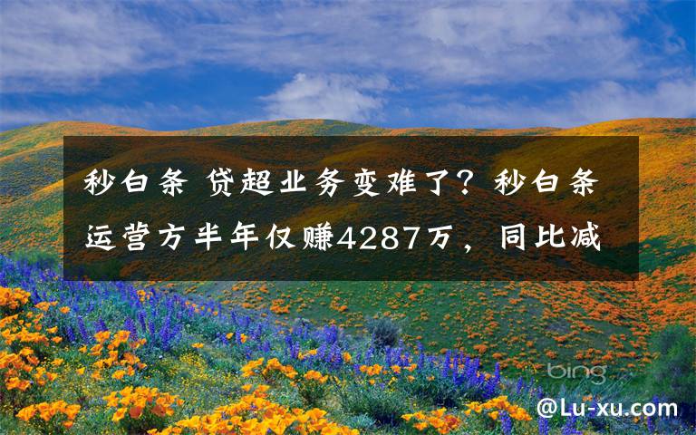 秒白条 贷超业务变难了？秒白条运营方半年仅赚4287万，同比减少13%