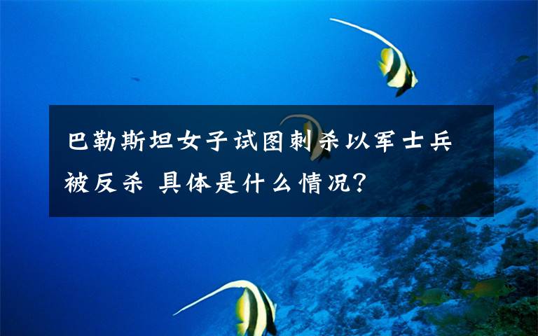 巴勒斯坦女子试图刺杀以军士兵被反杀 具体是什么情况？