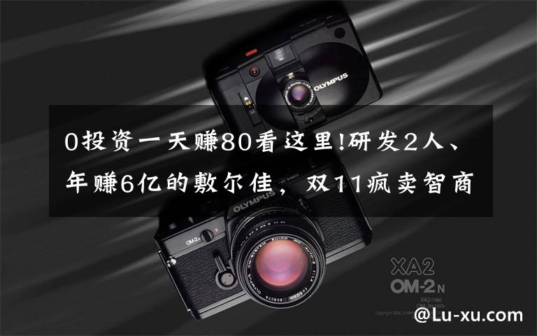 0投资一天赚80看这里!研发2人、年赚6亿的敷尔佳，双11疯卖智商税？文章配图