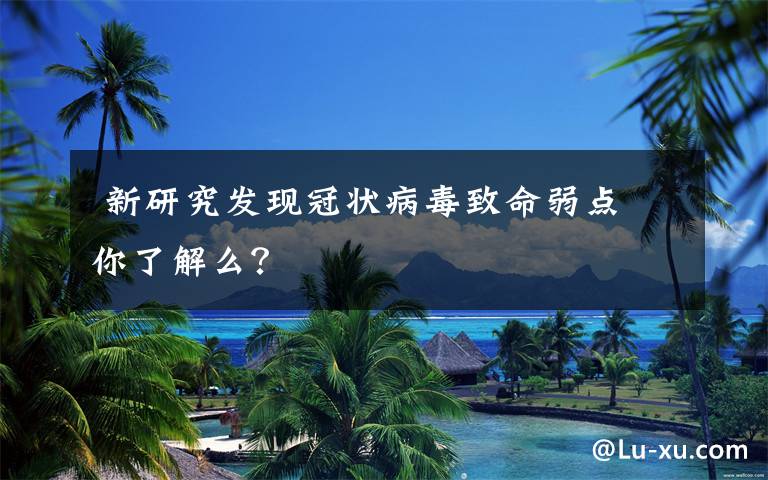  新研究发现冠状病毒致命弱点 你了解么？