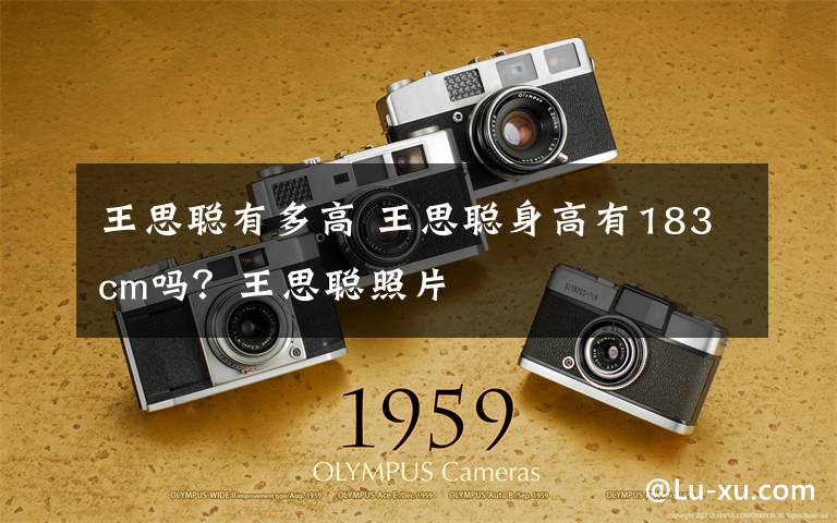 王思聪有多高 王思聪身高有183cm吗？王思聪照片文章配图