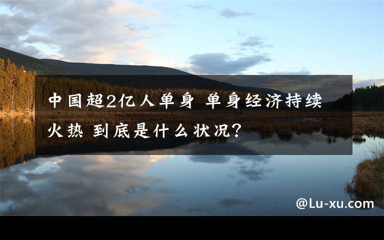 中国超2亿人单身 单身经济持续火热 到底是什么状况？