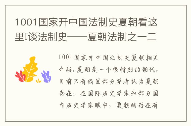 1001国家开中国法制史夏朝看这里!谈法制史——夏朝法制之一二