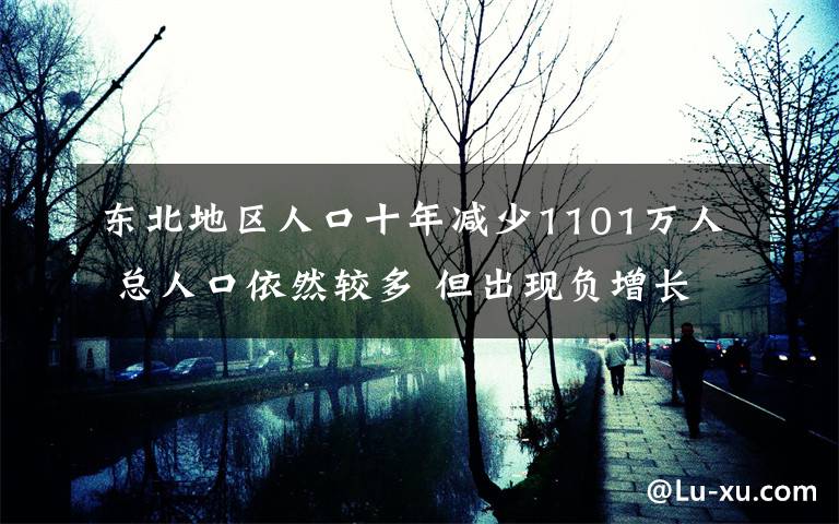 东北地区人口十年减少1101万人 总人口依然较多 但出现负增长 对此大家怎么看？