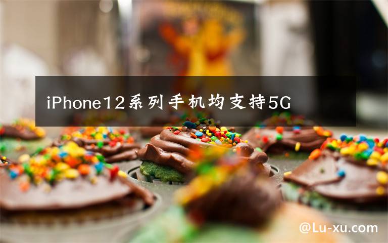 iPhone12系列手机均支持5G