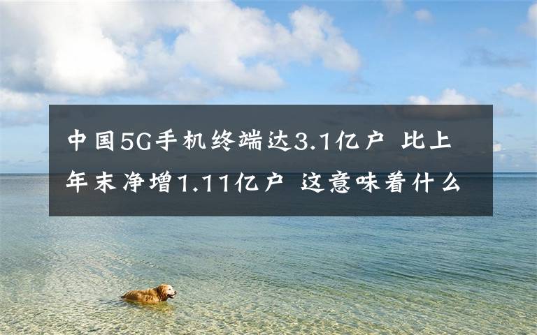 中国5G手机终端达3.1亿户 比上年末净增1.11亿户 这意味着什么?文章配图