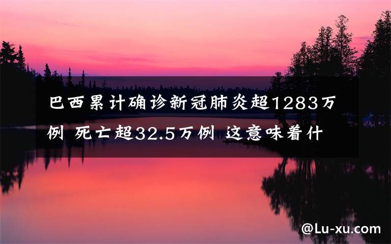 巴西累计确诊新冠肺炎超1283万例 死亡超32.5万例 这意味着什么?