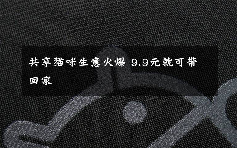 共享猫咪生意火爆 9.9元就可带回家文章配图