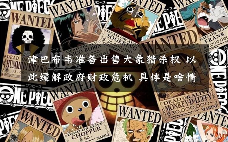 津巴布韦准备出售大象猎杀权 以此缓解政府财政危机 具体是啥情况?