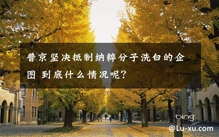 普京坚决抵制纳粹分子洗白的企图 到底什么情况呢？