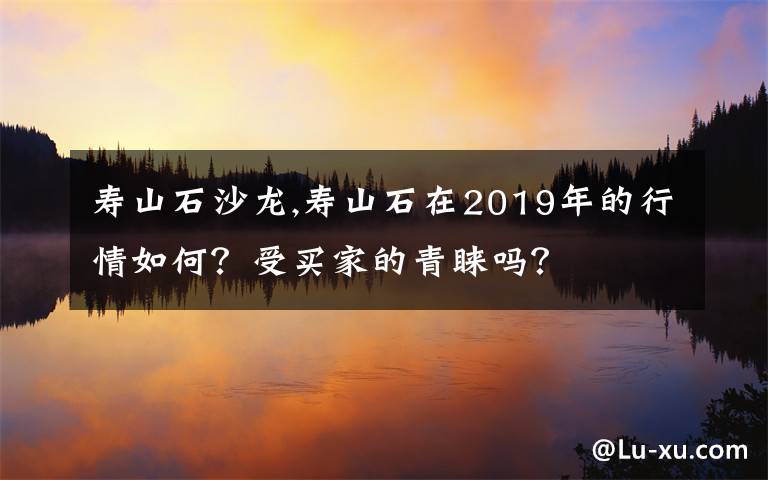 寿山石沙龙,寿山石在2019年的行情如何？受买家的青睐吗？