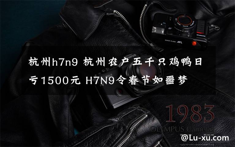 杭州h7n9 杭州农户五千只鸡鸭日亏1500元 H7N9令春节如噩梦