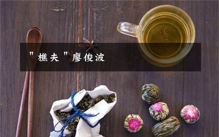 ＂樵夫＂廖俊波文章配图