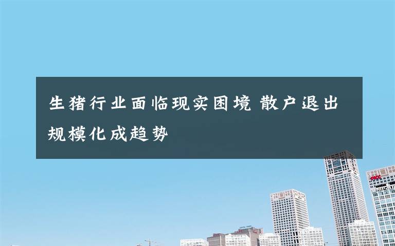 生猪行业面临现实困境 散户退出规模化成趋势文章配图