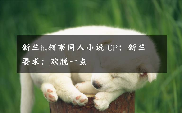 新兰h,柯南同人小说 CP：新兰 要求：欢脱一点