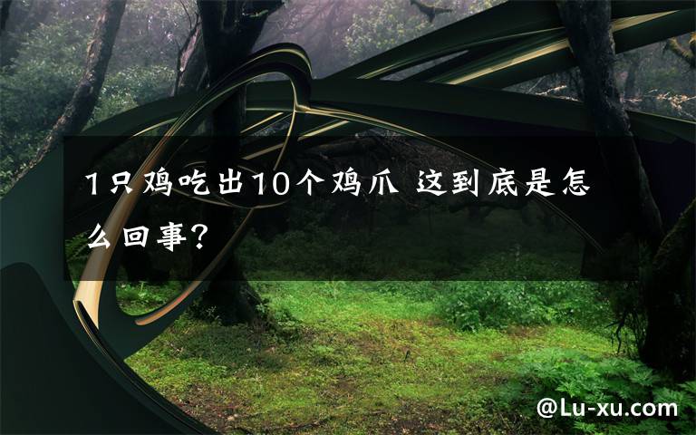 1只鸡吃出10个鸡爪 这到底是怎么回事？