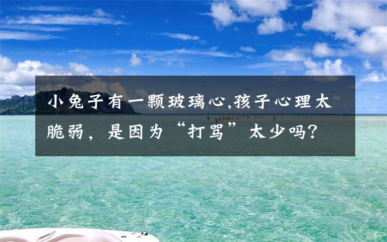 小兔子有一颗玻璃心,孩子心理太脆弱，是因为“打骂”太少吗？