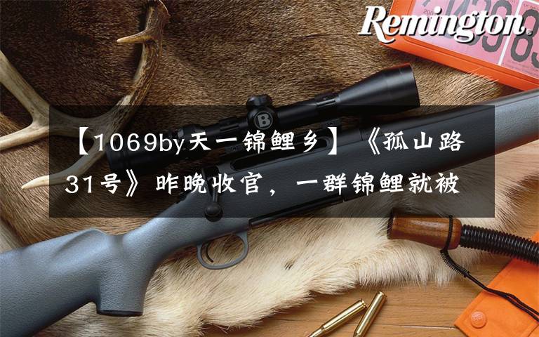 【1069by天一锦鲤乡】《孤山路31号》昨晚收官，一群锦鲤就被摄影师跟拍半年之久文章配图