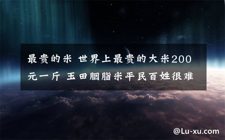 最贵的米 世界上最贵的大米200元一斤 玉田胭脂米平民百姓很难吃到