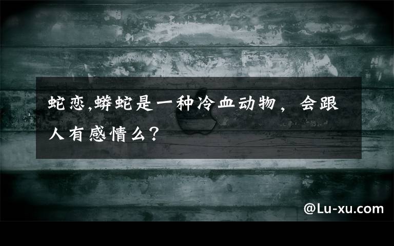 蛇恋,蟒蛇是一种冷血动物，会跟人有感情么？