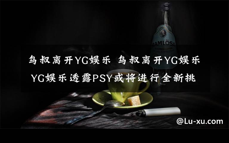 鸟叔离开YG娱乐 鸟叔离开YG娱乐 YG娱乐透露PSY或将进行全新挑战