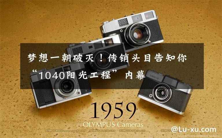梦想一朝破灭！传销头目告知你“1040阳光工程”内幕文章配图