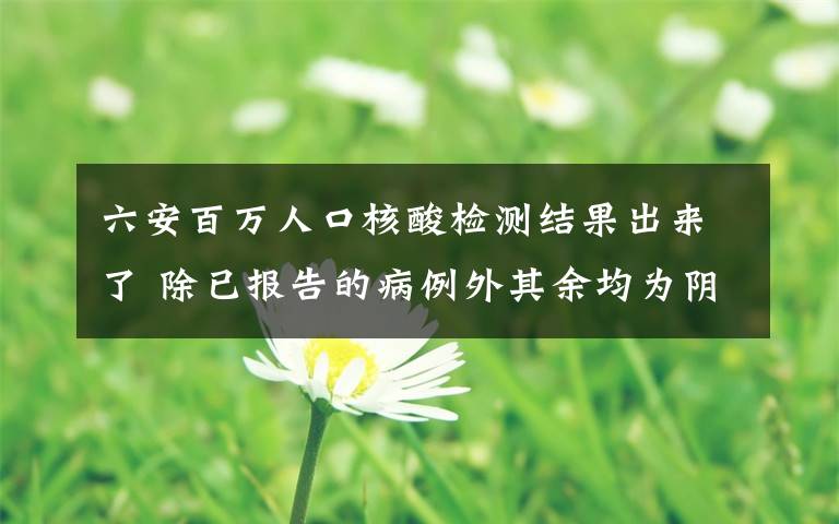 六安百万人口核酸检测结果出来了 除已报告的病例外其余均为阴性 事件的真相是什么？文章配图