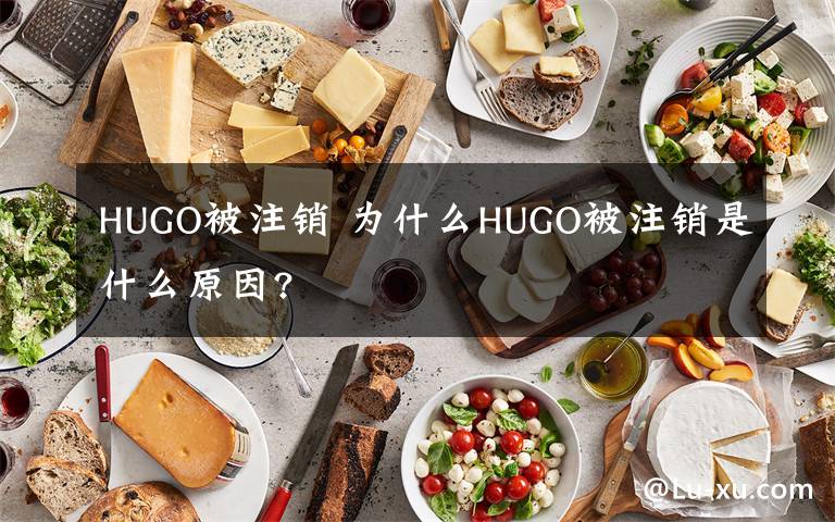 HUGO被注销 为什么HUGO被注销是什么原因?