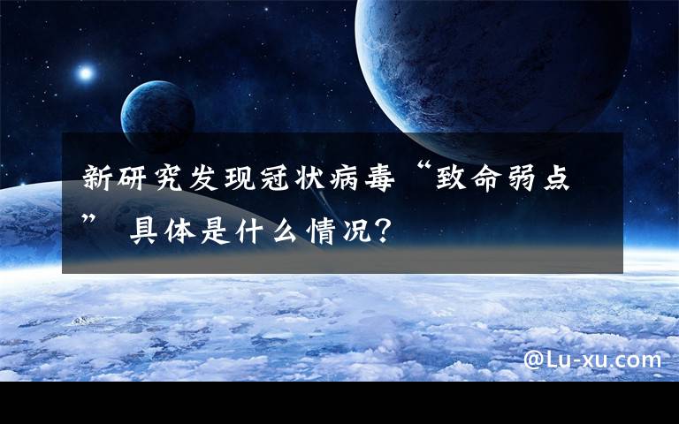 新研究发现冠状病毒“致命弱点” 具体是什么情况？