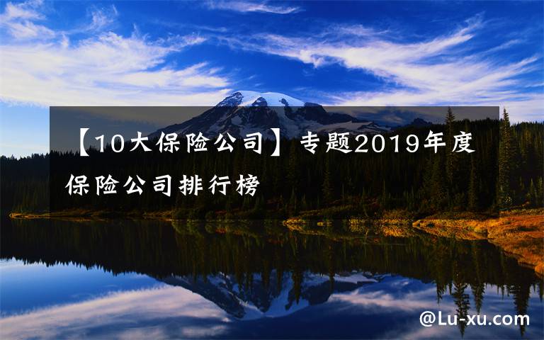 【10大保险公司】专题2019年度保险公司排行榜