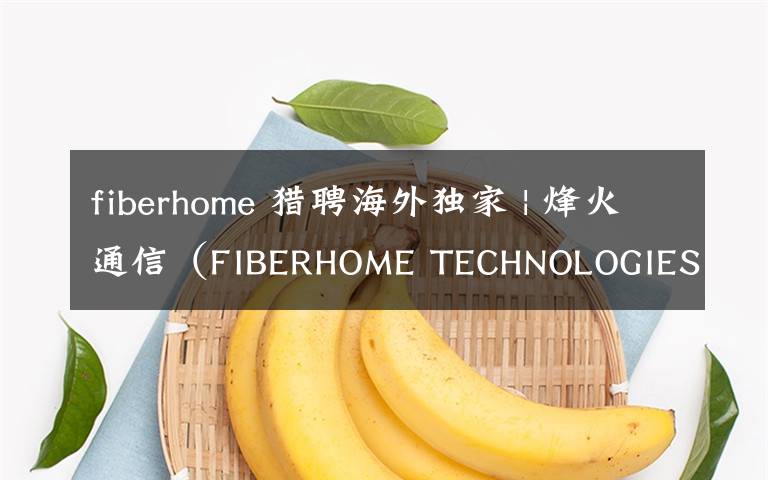 fiberhome 猎聘海外独家 | 烽火通信（FIBERHOME TECHNOLOGIES）海外招聘