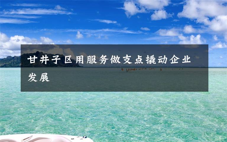 甘井子区用服务做支点撬动企业发展文章配图