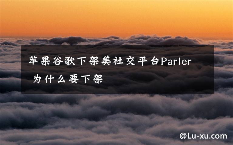 苹果谷歌下架美社交平台Parler 为什么要下架