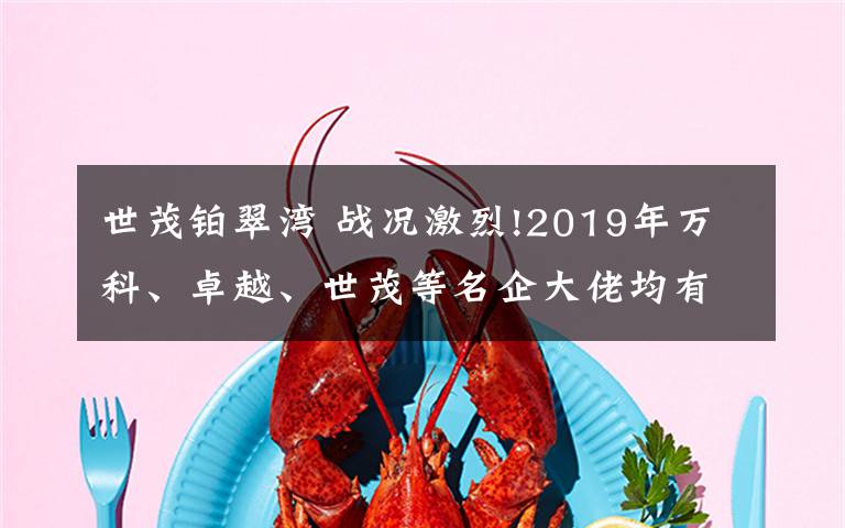 世茂铂翠湾 战况激烈!2019年万科、卓越、世茂等名企大佬均有新盘入市