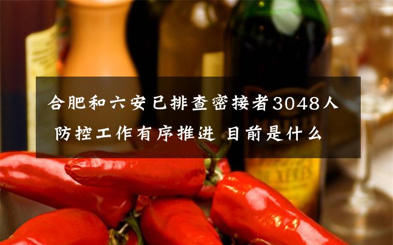 合肥和六安已排查密接者3048人 防控工作有序推进 目前是什么情况？