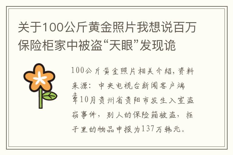 关于100公斤黄金照片我想说百万保险柜家中被盗“天眼”发现诡秘三人行踪