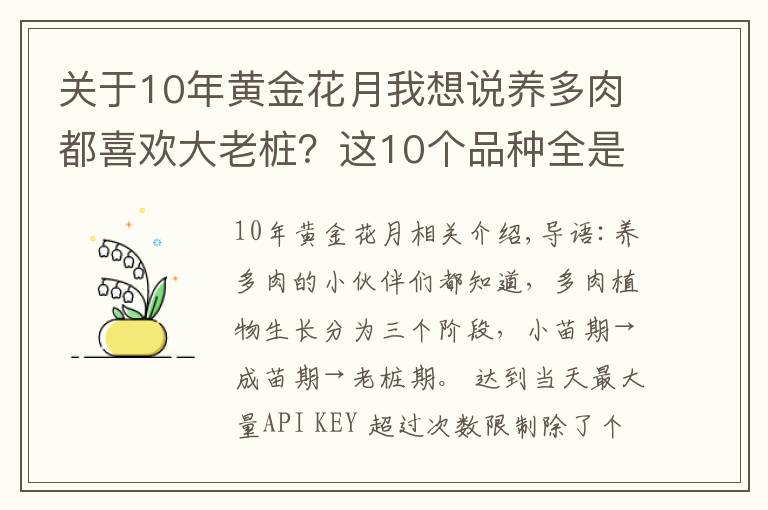 关于10年黄金花月我想说养多肉都喜欢大老桩？这10个品种全是“大粗腿”，越养越好看！