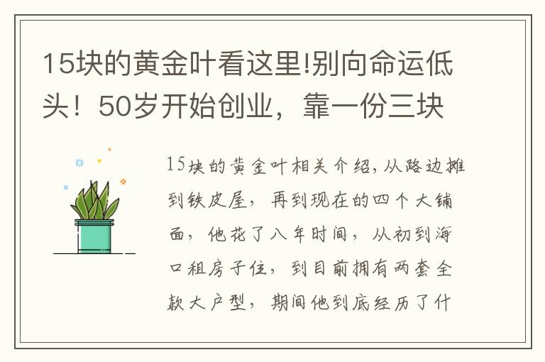 15块的黄金叶看这里!别向命运低头！50岁开始创业，靠一份三块钱的豆花起步