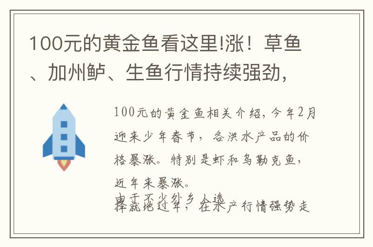 100元的黄金鱼看这里!涨！草鱼、加州鲈、生鱼行情持续强劲，黄金鱼最高也涨2元/斤