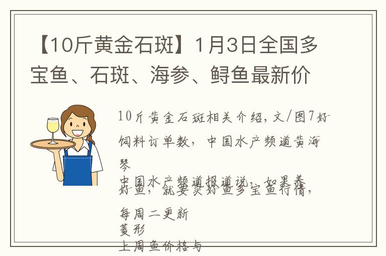 【10斤黄金石斑】1月3日全国多宝鱼、石斑、海参、鲟鱼最新价格