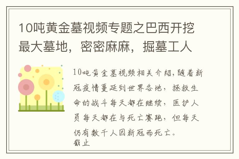 10吨黄金墓视频专题之巴西开挖最大墓地，密密麻麻，掘墓工人10分钟完成一次埋葬