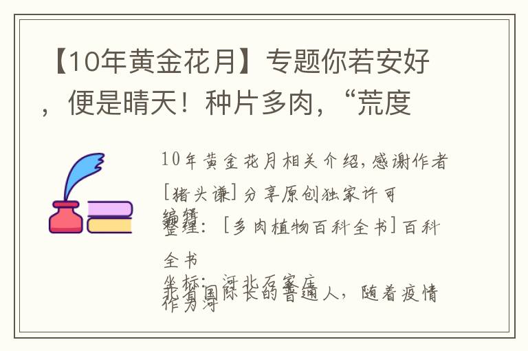 【10年黄金花月】专题你若安好，便是晴天！种片多肉，“荒度”余生