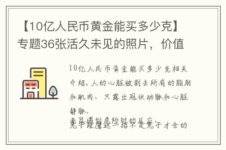 【10亿人民币黄金能买多少克】专题36张活久未见的照片，价值100亿的黄金是多少？这辈子看看也值了