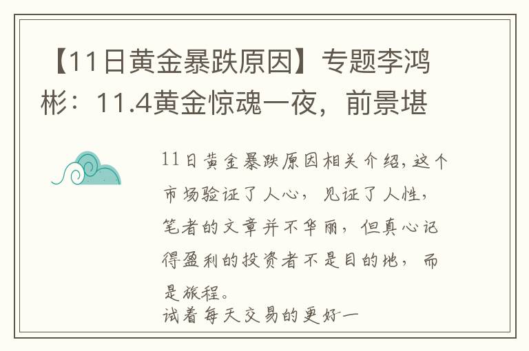 【11日黄金暴跌原因】专题李鸿彬：11.4黄金惊魂一夜，前景堪忧！还会继续跌吗？