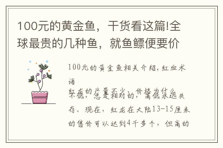 100元的黄金鱼，干货看这篇!全球最贵的几种鱼，就鱼鳔便要价3.5万左右