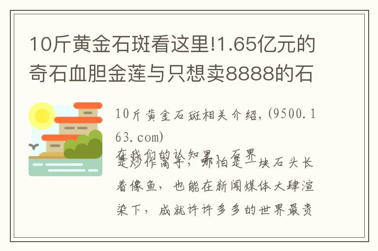 10斤黄金石斑看这里!1.65亿元的奇石血胆金莲与只想卖8888的石斑鱼