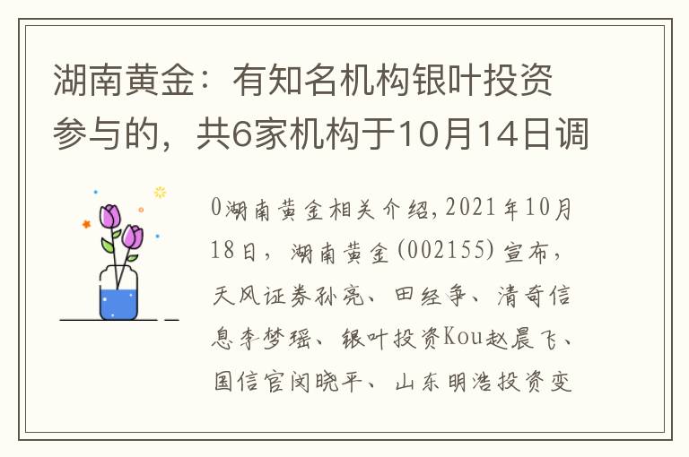 湖南黄金：有知名机构银叶投资参与的，共6家机构于10月14日调研我司文章配图