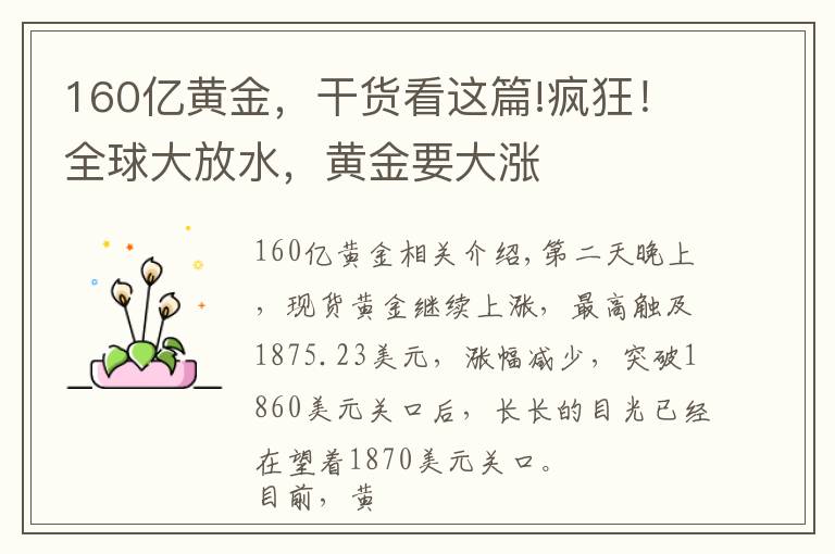 160亿黄金，干货看这篇!疯狂！全球大放水，黄金要大涨